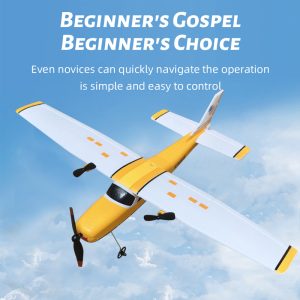 FX801RC PLANE