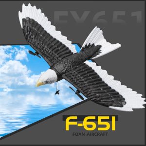 FX651RC PLANE